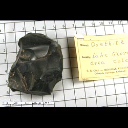 Mineral Specimen: Goethite from Lake George area, Teller and Park Co, Colorado Mineral Specimen: Goethite from Lake George area, Teller and Park Co, Colorado