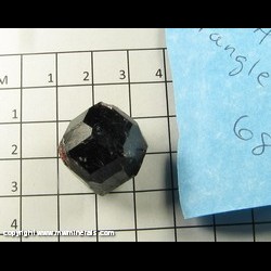 Mineral Specimen: Almandine Garnet from Garnet Ledge, Wrangell, Wrangell Island, Wrangell-Petersburg Borough, Alaska Mineral Specimen: Almandine Garnet from Garnet Ledge, Wrangell, Wrangell Island, Wrangell-Petersburg Borough, Alaska