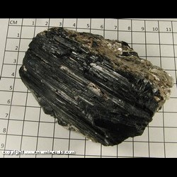 Mineral Specimen: Schorl Tourmaline, Muscovite from Royal Gorge, Fremont Co,  Colorado