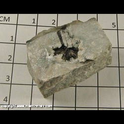 Minerals Specimen: Millerite from Leadwood road cut. St. Francois Co.. Missouri Minerals Specimen: Millerite from Leadwood road cut. St. Francois Co.. Missouri