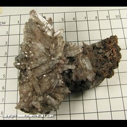 Mineral Specimen: Quartz from Chihuahua, Mexico Mineral Specimen: Quartz from Chihuahua, Mexico
