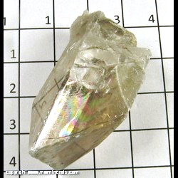 Mineral Specimen: Barite from Linwood Quarry, Buffalo, Scott Co,  Iowa