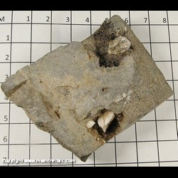Mineral Specimen: Herkimer Diamond, Dolomite in Matrix from Herkimer, New York Mineral Specimen: Herkimer Diamond, Dolomite in Matrix from Herkimer, New York