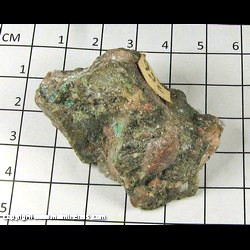 Mineral Specimen: Conglomerate from Shore of Loch Ness, Scotland Mineral Specimen: Conglomerate from Shore of Loch Ness, Scotland