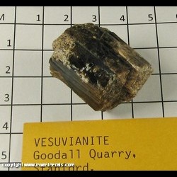 Minerals Specimen: Vesuvianite (not terminated) from Webster prospects (Goodall Farm prospect), Sanford, York Co, Maine Minerals Specimen: Vesuvianite (not terminated) from Webster prospects (Goodall Farm prospect), Sanford, York Co, Maine