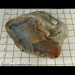 Mineral Specimen: Agate, Montana Dendritic (Polished) from Montana Mineral Specimen: Agate, Montana Dendritic (Polished) from Montana