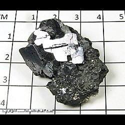 Mineral Specimen: Galena, Sphalerite, Pyrite, Siderite from Eagle Mine, Gilman, Eagle Co,  Colorado