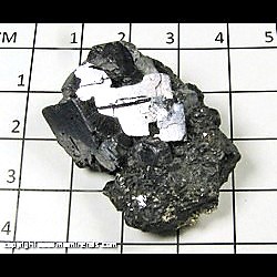 Mineral Specimen: Galena, Sphalerite, Pyrite, Siderite from Eagle Mine, Gilman, Eagle Co, Colorado Mineral Specimen: Galena, Sphalerite, Pyrite, Siderite from Eagle Mine, Gilman, Eagle Co, Colorado