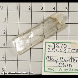 Minerals Specimen: Celestine from Clay Center, Ohio Minerals Specimen: Celestine from Clay Center, Ohio