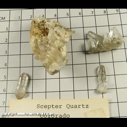 Mineral Specimen: Scepter Quartz (4 pieces) from Colorado Mineral Specimen: Scepter Quartz (4 pieces) from Colorado