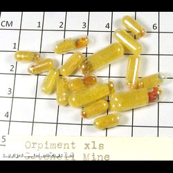 Mineral Specimen: Orpiment Micro Mount Crystals (16 pieces) from Getchell Mine, Humboldt Co,  Nevada