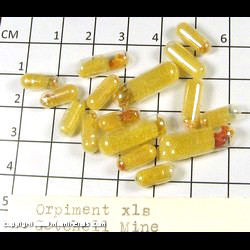 Mineral Specimen: Orpiment Micro Mount Crystals (16 pieces) from Getchell Mine, Humboldt Co, Nevada Mineral Specimen: Orpiment Micro Mount Crystals (16 pieces) from Getchell Mine, Humboldt Co, Nevada