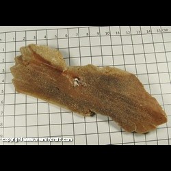 Mineral Specimen: Selenite with included Sand from Great Salt Plains, Jet, Alfalfa Co, Oklahoma Mineral Specimen: Selenite with included Sand from Great Salt Plains, Jet, Alfalfa Co, Oklahoma