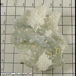 Mineral Specimen: Quartz from Nasik, Maharastra, India