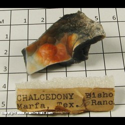Mineral Specimen: Chalcedony from Bishop Ranch, Marfa, Presidio Co, Texas Mineral Specimen: Chalcedony from Bishop Ranch, Marfa, Presidio Co, Texas