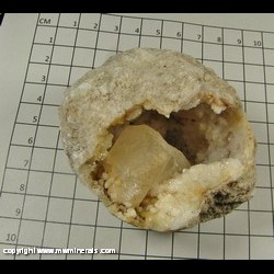 Mineral Specimen: Quartz Geode with Calcite Crystal from Illinois