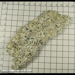 Minerals Specimen: Granodiorite from West Mountain Range, McCall, Valley Co, Idaho Minerals Specimen: Granodiorite from West Mountain Range, McCall, Valley Co, Idaho