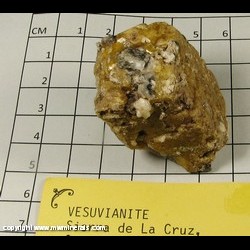 Mineral Specimen: Vesuvianite variety: Idocrase from Sierra de Cruces, Coahuila, Mexico Mineral Specimen: Vesuvianite variety: Idocrase from Sierra de Cruces, Coahuila, Mexico