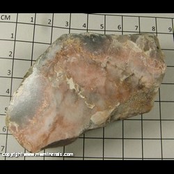 Minerals Specimen: Michigan Oolitic Agate (polished) from Brighton Twp, Livingston Co, Michigan Minerals Specimen: Michigan Oolitic Agate (polished) from Brighton Twp, Livingston Co, Michigan