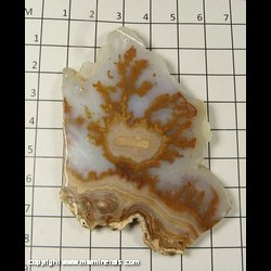 Mineral Specimen: Plume Agate Slice (lacquered) from Chihuahua, Mexico Mineral Specimen: Plume Agate Slice (lacquered) from Chihuahua, Mexico