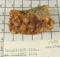 Mineral Specimen: Vanadinite Crystals on Calcite Crystals from San Carlos, Chihuahua, Mexico Mineral Specimen: Vanadinite Crystals on Calcite Crystals from San Carlos, Chihuahua, Mexico