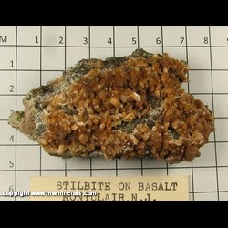 Mineral Specimen: Stilbite on Basalt from Montclair, Montclair Township, Essex Co, New Jerse Mineral Specimen: Stilbite on Basalt from Montclair, Montclair Township, Essex Co, New Jerse