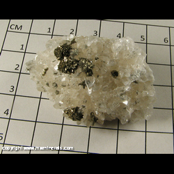 Mineral Specimen: Marcasite on Calcite from Linwood Quarry, Buffalo, Scott Co, Iowa Mineral Specimen: Marcasite on Calcite from Linwood Quarry, Buffalo, Scott Co, Iowa