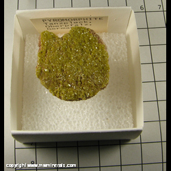 Mineral Specimen: Pyromorphite from Tanzfleck, Freihung, Oberpfalz, Bavaria, Germany