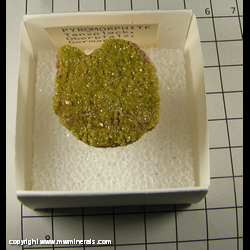 Mineral Specimen: Pyromorphite from Tanzfleck, Freihung, Oberpfalz, Bavaria, Germany Mineral Specimen: Pyromorphite from Tanzfleck, Freihung, Oberpfalz, Bavaria, Germany
