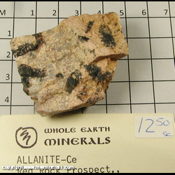 Mineral Specimen: Allanite-(Ce) from Red Rock Prospect, Washoe Co, Nevada Mineral Specimen: Allanite-(Ce) from Red Rock Prospect, Washoe Co, Nevada