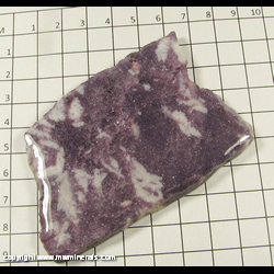 Mineral Specimen: Lepidolite (Epoxy Coated) from Namibia