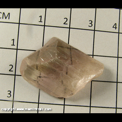 Mineral Specimen: Spodumene - Bicolor Kunzite (some wear on edges) from Afghanistan
