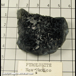 Mineral Specimen: Pyrolusite variety Rats Hair from New Mexico Mineral Specimen: Pyrolusite variety Rats Hair from New Mexico