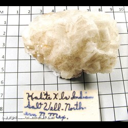 Mineral Specimen: Halite Crystals from Indian Salt Well, Northern New Mexico