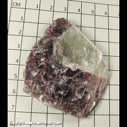 Minerals Specimen: Lepidolite, Bicolor from Itinga, Minas Gerais, Brazil Minerals Specimen: Lepidolite, Bicolor from Itinga, Minas Gerais, Brazil
