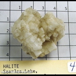 Minerals Specimen: Halite Crystals from Searles Lake, Riverside Co, California Minerals Specimen: Halite Crystals from Searles Lake, Riverside Co, California