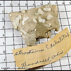 Mineral Specimen: Celestine, Strontian from Woodville, Sandusky Co,  Ohio