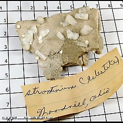 Mineral Specimen: Celestine, Strontian from Woodville, Sandusky Co, Ohio Mineral Specimen: Celestine, Strontian from Woodville, Sandusky Co, Ohio