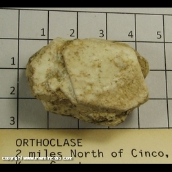 Mineral Specimen: Orthoclase Baveno Twin from 2 miles north of Cinco, Kern Co,  California