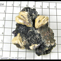 Mineral Specimen: Barite on Fluorite from Dachang Sb ore field,  Qinglong Co,   Qianxi'nan AR,  Guizhou Prov,   China