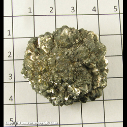 Mineral Specimen: Pyritized Marine Burrow from Ross Co,  Ohio