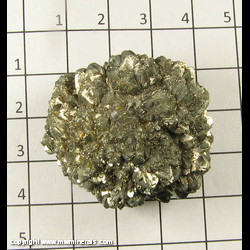 Mineral Specimen: Pyritized Marine Burrow from Ross Co, Ohio Mineral Specimen: Pyritized Marine Burrow from Ross Co, Ohio