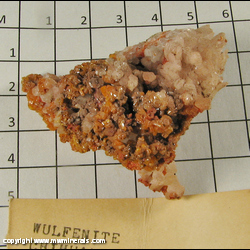 Minerals Specimen: Wulfenite, Calcite from Chihuahua, Mexico Minerals Specimen: Wulfenite, Calcite from Chihuahua, Mexico