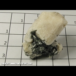 Mineral Specimen: Microcline and Aegirine from Mt. Malosa, Zomba, Malawi Mineral Specimen: Microcline and Aegirine from Mt. Malosa, Zomba, Malawi