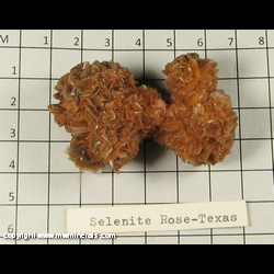 Mineral Specimen: Selenite Rose from Western Texas