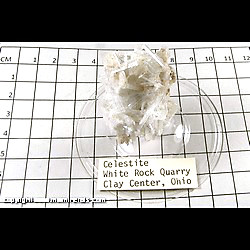 Mineral Specimen: Celestine from White Rock Quarry, Clay Center, Ottawa Co, Ohio Mineral Specimen: Celestine from White Rock Quarry, Clay Center, Ottawa Co, Ohio