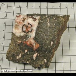 Mineral Specimen: Thomsonite in Basalt Matrix from Thomsonite beach, Grand Marais, Cook Co, Minnesota Mineral Specimen: Thomsonite in Basalt Matrix from Thomsonite beach, Grand Marais, Cook Co, Minnesota