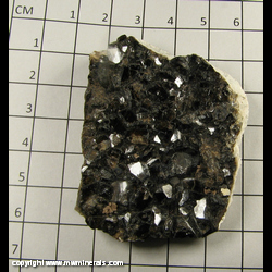 Mineral Specimen: Melanite Garnet, Titanium bearing Andradite (some broken crystals) from Mina Ojos Espanoles, General Lazaro Cardenas, Julimes, Chihuahua, Mexico Mineral Specimen: Melanite Garnet, Titanium bearing Andradite (some broken crystals) from Mina Ojos Espanoles, General Lazaro Cardenas, Julimes, Chihuahua, Mexico