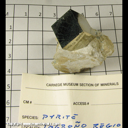 Mineral Specimen: Pyrite in Marl from Logrono, Spain Mineral Specimen: Pyrite in Marl from Logrono, Spain