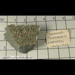 Minerals Specimen: Carbonate - Fluorapaite from Laghetto pegmatitic dyke, Piona Peninsula, Colico, Lecco Province, Lombardy, Italy Minerals Specimen: Carbonate - Fluorapaite from Laghetto pegmatitic dyke, Piona Peninsula, Colico, Lecco Province, Lombardy, Italy